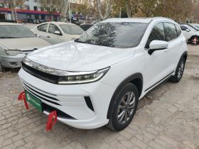 星途追风 2020款 乘风破浪版 1.5T CVT星睿版