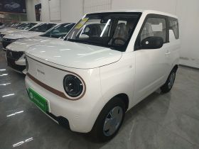 吉利银河 2024款 熊猫mini 200km 耐力熊