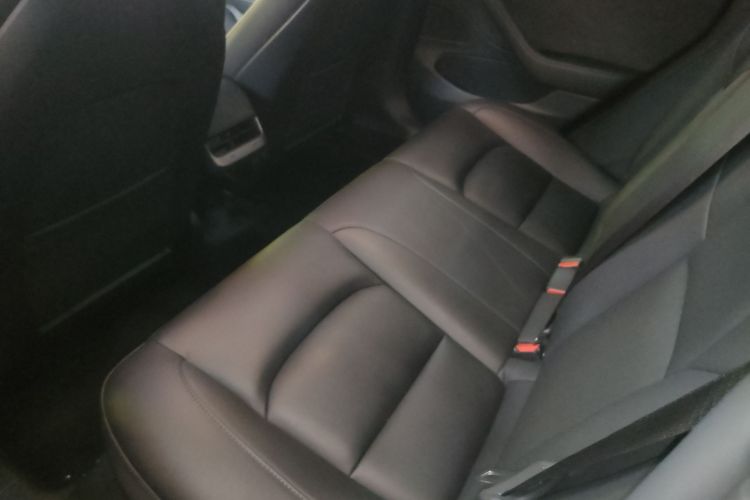 特斯拉 Model 3 2020款 改款 标准续航后驱升级版中控内饰7004