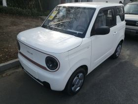 吉利银河 2024款 熊猫mini 200km 耐力熊