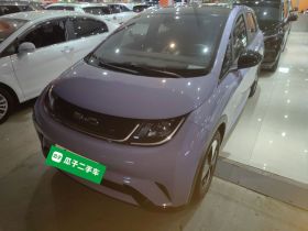 比亚迪 海豚 2023款 420km 时尚版