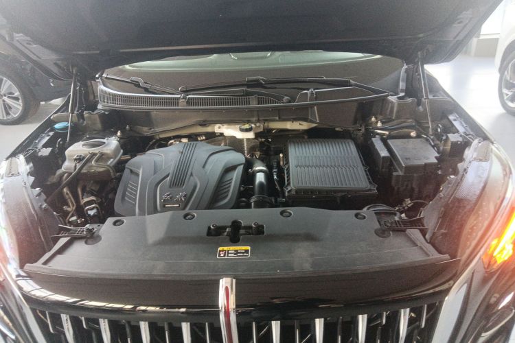 红旗HS3 PHEV 2024款 PHEV 115km 劲为版局部细节24