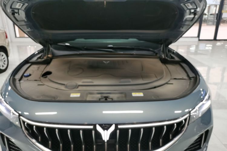 岚图汽车 岚图FREE 2021款 四驱标准增程专属豪华套装局部细节24