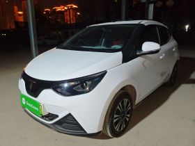 江铃集团新能源 易至EV2 2024款 201km 舒适型