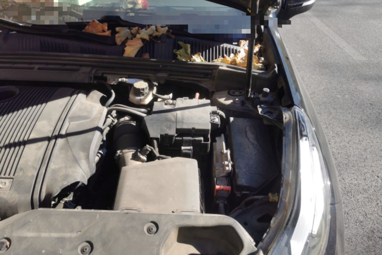 领克03 2019款 1.5TD DCT劲版 国VI局部细节9007