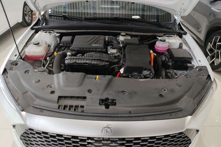 比亚迪 秦PLUS 2024款 荣耀版 DM-i 55KM领先型机舱底盘24