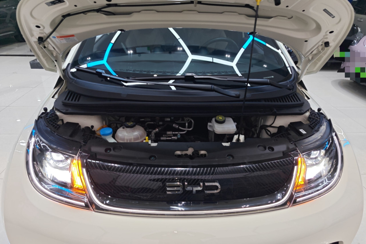 比亚迪 海豚 2024款 荣耀版 420km 自由版局部细节24