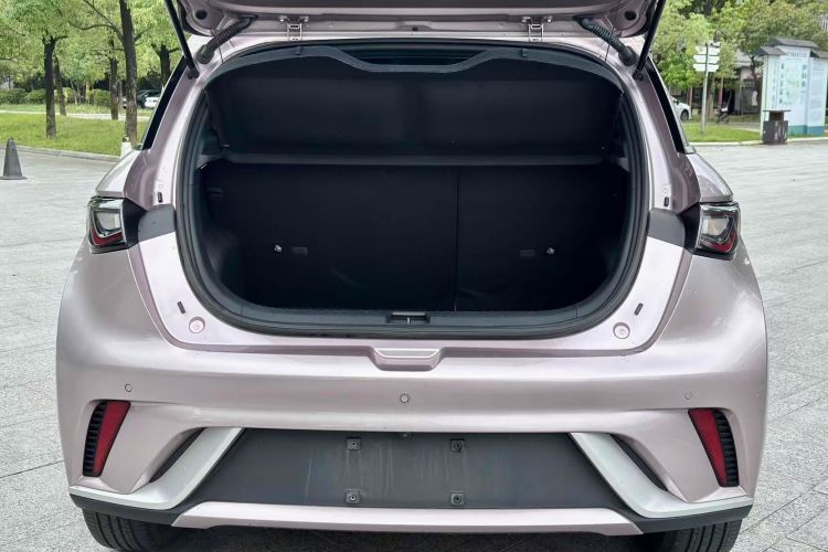 比亚迪 海豚 2023款 420km 时尚版机舱底盘23