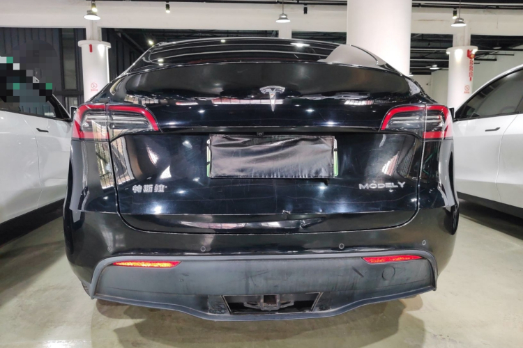 特斯拉 Model Y 2021款 标准续航后驱版车身外观6004