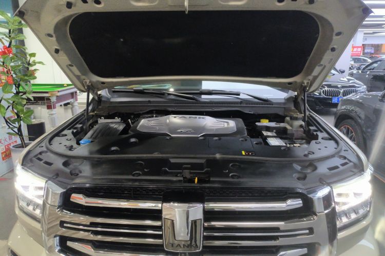 坦克500 2022款 3.0T 运动版 造境型 5座机舱底盘24