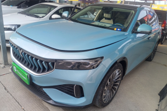 岚图汽车 岚图FREE 2021款 四驱增程首发纪念版专属豪华套装