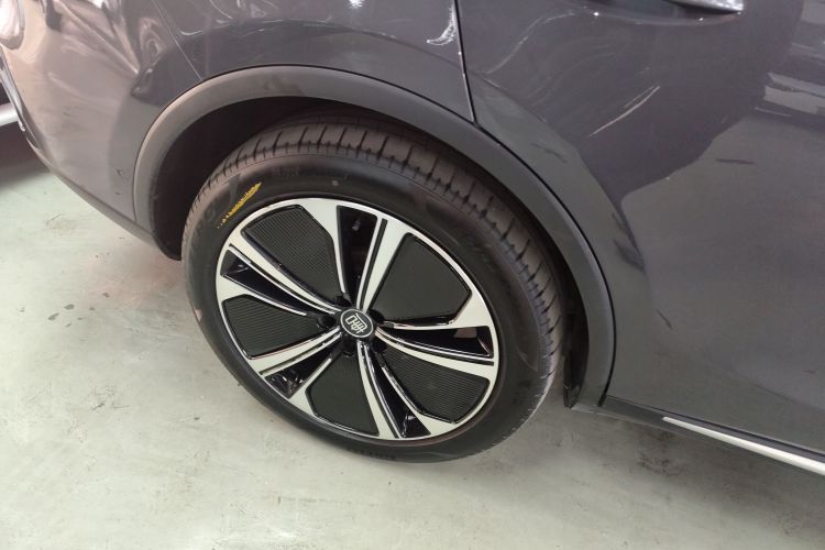 比亚迪 唐新能源 2022款 EV 635KM 四驱旗舰型车身外观6008