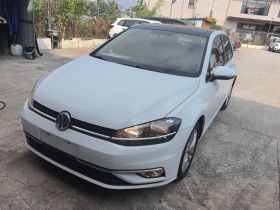 大众 高尔夫 2018款 230TSI 自动舒适型