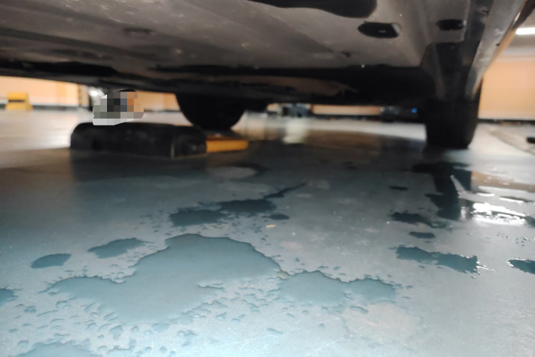 宝马X3(进口) 2022款 M40i局部细节9002