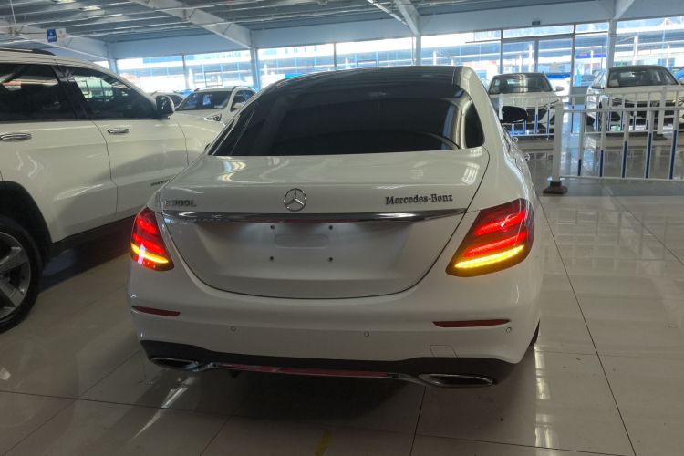 奔驰E级 2019款 E 260 L 运动型车身外观6004