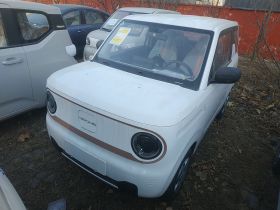 吉利银河 2024款 熊猫mini 200km 耐力熊