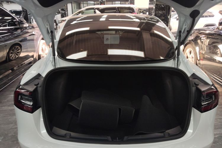 特斯拉 Model 3 2020款 长续航后轮驱动版机舱底盘23