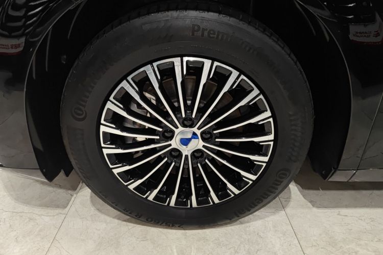 腾势D9 2024款 DM-i 980 四驱旗舰型车身外观35