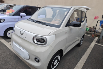 五菱汽车 宏光MINIEV 2024款 第三代 215km 青春版