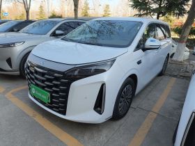 比亚迪 夏 2025款 DM-i 1.5T 180km 卓越型