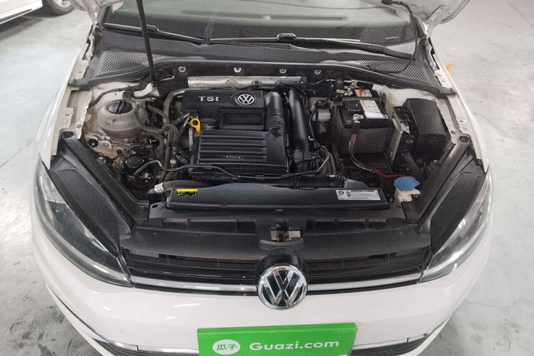 大众 高尔夫 2019款 280TSI DSG豪华型 国VI机舱底盘24