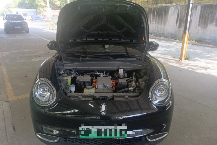 欧拉好猫 2022款 400km标准续航 豪华型 磷酸铁锂机舱底盘24