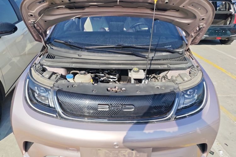 比亚迪 海豚 2021款 405km 时尚版机舱底盘24