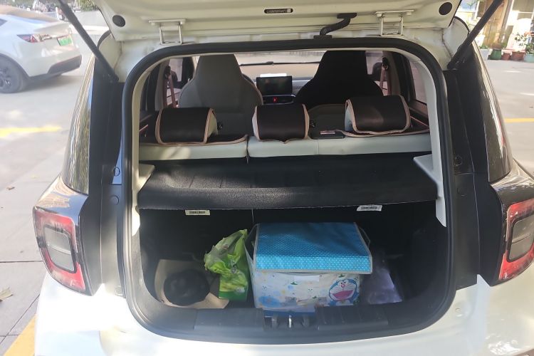 思皓 2022款 花仙子款 四叶草局部细节23