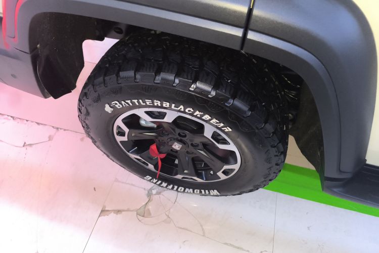 坦克300新能源 2025款 Hi4-T车身外观6008