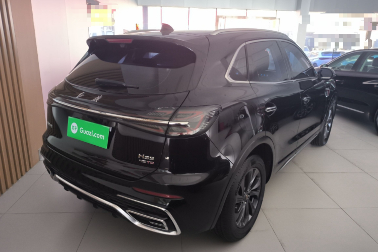 红旗HS5 2023款 2.0T 旗享Pro版车身外观7