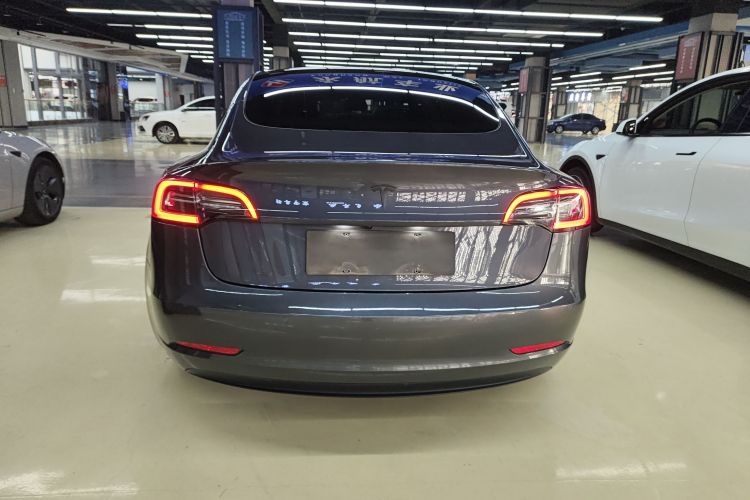 特斯拉 Model 3 2021款 标准续航后驱升级版车身外观6004