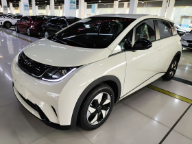 比亚迪 海豚 2025款 420km 自由版