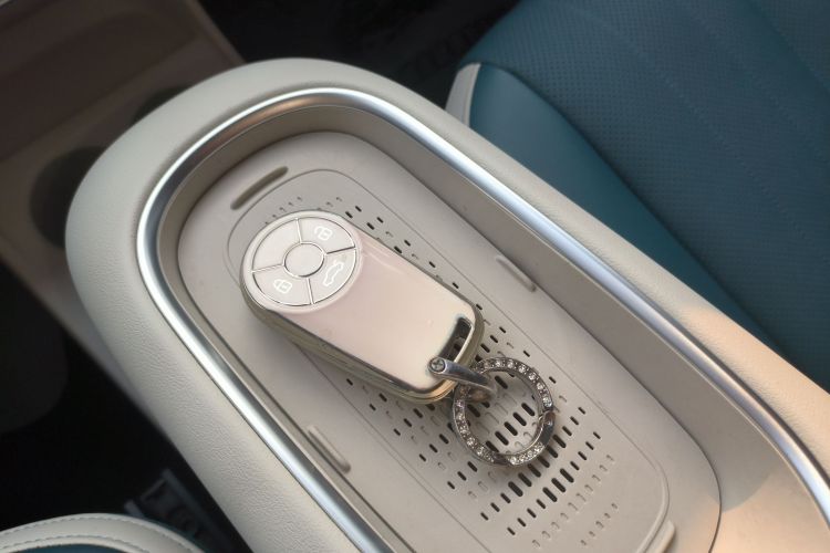 欧拉好猫 2023款 401km标准续航 尊贵型 磷酸铁锂中控内饰11