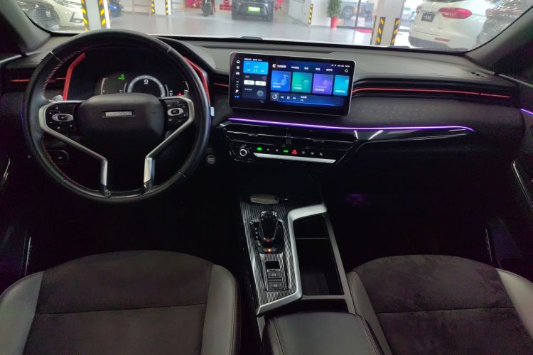 哈弗赤兔 2021款 激擎版 1.5T 黄金兔中控内饰12