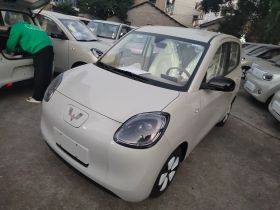 五菱汽车 宏光MINIEV 2025款 四门版 进阶款