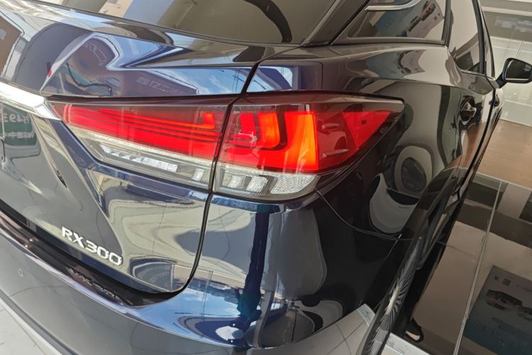 雷克萨斯RX 2020款 改款 300 四驱典雅版车身外观6006