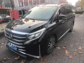 广汽传祺 传祺M8 2021款 领秀系列 390T 尊贵版