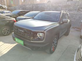 哈弗大狗 2024款 1.5T DCT拉布拉多版