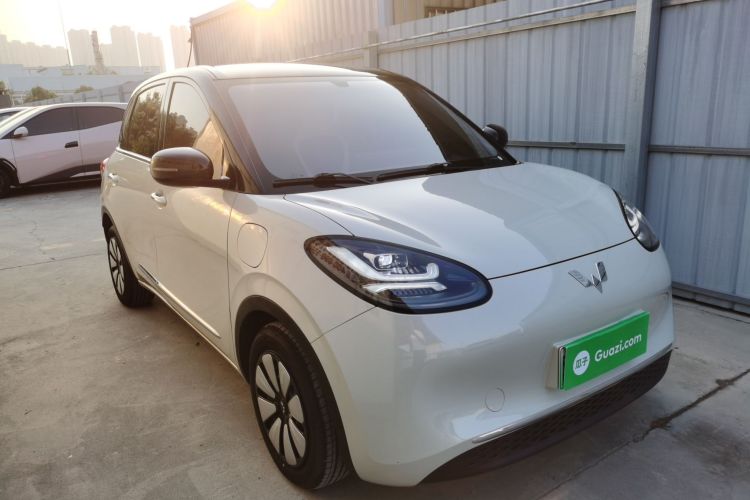 五菱汽车 五菱缤果 2024款 333km 悦享款车身外观6002