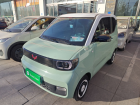 五菱汽车 宏光MINIEV 2021款 马卡龙时尚款 磷酸铁锂