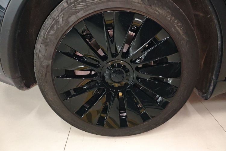 特斯拉 Model Y 2024款 后轮驱动版车身外观6008