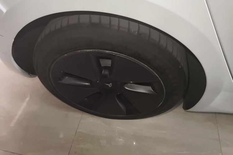 特斯拉 Model 3 2021款 改款 标准续航后驱升级版 3D1车身外观6008