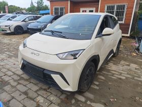 比亚迪 海鸥 2024款 荣耀版 305km 活力版