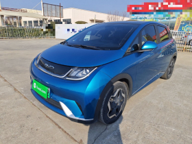 比亚迪 海豚 2021款 405km 时尚版