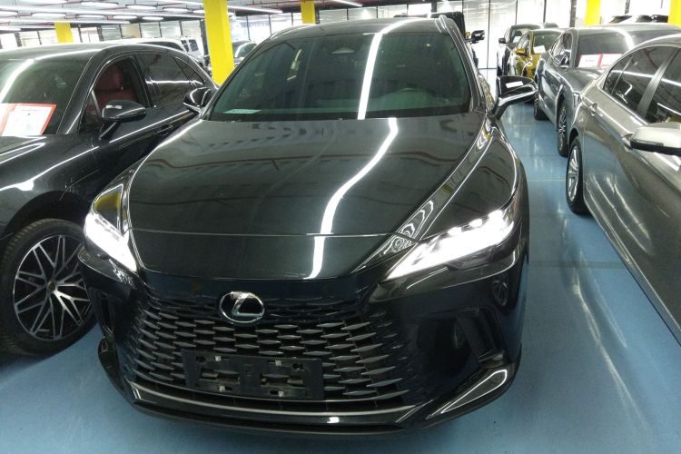 雷克萨斯RX 2023款 350h 四驱醇享版车身外观2