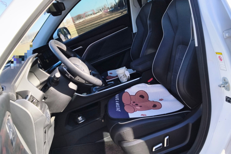 哈弗H6 2021款 国潮版 1.5T 自动冠军版中控内饰19