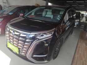 腾势D9 2022款 DM-i 970 四驱旗舰型