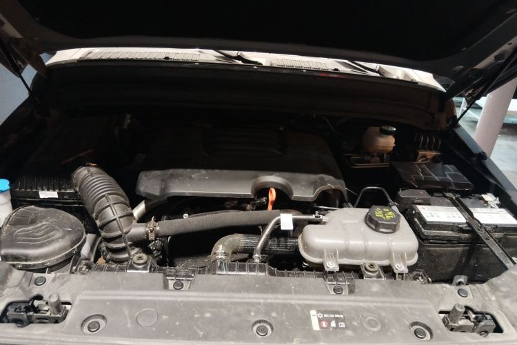 坦克300 2024款 2.0T 征服者机舱底盘24