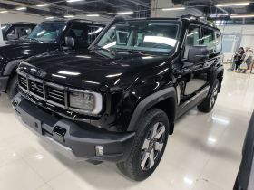 北京越野BJ40增程 2025款 进阶版