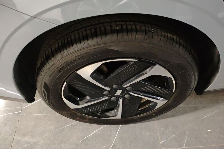 吉利银河 银河L6 2024款 125km PLUS 龙腾版车身外观6008